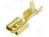Terminal tip plat, pentru surub {{Orificiu pentru &amp;#351;urub}}, BM GROUP - BM 01290