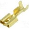 Terminal tip plat, pentru surub {{Orificiu pentru &amp;#351;urub}}, BM GROUP - BM 01290