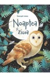 Cumpara ieftin Noaptea si ziua. Descopar lumea - Emily Bone