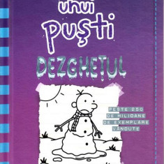 Dezghețul. Jurnalul unui puști (Vol.13) - HC - Hardcover - Jeff Kinney - Arthur