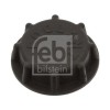 Febi Bilstein buson, vas expansiune