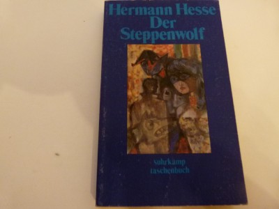 DEr Steppenwolf - Hesse foto