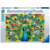 PUZZLE PAUN, 2000 PIESE, Ravensburger