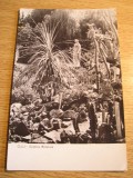 QW24 C - Carte postala - tematica turism - vedere - Cluj Napoca 48