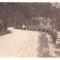 5202 - Gorj, Defileul Jiului, Romania - old postcard, real PHOTO - unused