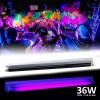 Lampa ultravioleta 36W cu suport, lumina blacklight, ProCart