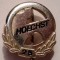 I.698 INSIGNA STICKPIN GERMANIA FARMACIE HOECHST 25 ARGINT .925/2,9g h15mm