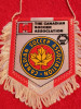 Fanion-Federatia de Fotbal din CANADA (CM 1986)-pe spate rezultate calificari