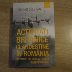 Dennis Deletant - Activitati britanice clandestine in Romania