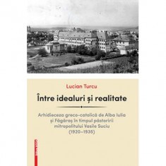 Intre idealuri si realitate. Arhidieceza greco-catolica de Alba Iulia si Fagaras in timpul pastoririi mitropolitului Vasile Suciu (1920–1935) - Lucian