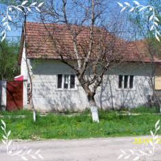 Casa judet Arad localitate Brazii cu piscina langa rau foto