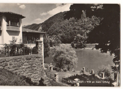 CPI B13744 CARTE POSTALA - CALIMANESTI, VILA PE MALUL OLTULUI, RPR foto