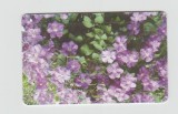 bnk card Cartele telefonice - Romania Romtelecom 2006 - Flowers 2 - Col:RO-ROM-0361B