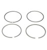 Mahle Set segmenti piston