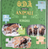 Puzzle 3x50 piese - Oda pentru animale din Romania | Titia