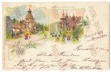 821 - SINAIA, Prahova, PELES Castle, Litho, Romania - old postcard - used - 1899