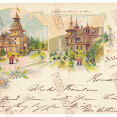 821 - SINAIA, Prahova, PELES Castle, Litho, Romania - old postcard - used - 1899