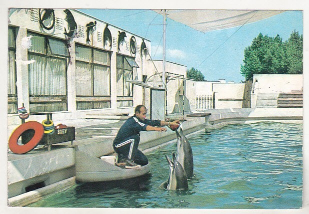 bnk cp Constanta - Delfinariu - circulata