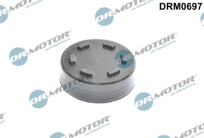 Capac Conector, Bolt Principal 298239 DRM0697 foto