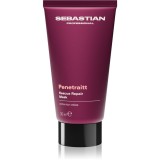 Sebastian Professional Penetraitt masca pentru par degradat sau tratat chimic 30 ml