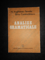 N. ANGHELESCU TEMELIE, SILVIU CONSTANTINESCU - ANALIZE GRAMATICALE foto