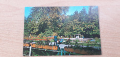 Buzias - Vedere din parc - carte postala circulata 1973 foto