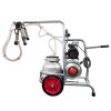 Aparat de muls vaci EMT, 1 post, bidon aluminiu 30L, mulgatoare profesionala, protectie coroziune, usor de utilizat