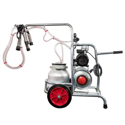 Aparat de muls vaci EMT, un bidon aluminiu 30 litri, un post foto