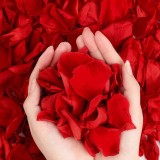 Petale Artificiale de Trandafir din Poliester, Set Decorativ 1000 Buc