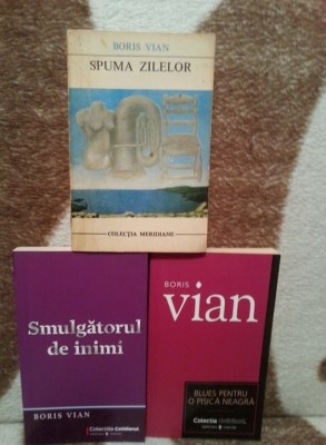 SPUMA ZILELOR/SMULGATORUL DE INIMI/BLUES PENTRU O PISICA NEAGRA-BORIS VIAN foto