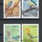 Australia 2010 Mi 3483/86 MNH, nestampilat - Pasari