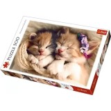 PUZZLE TREFL 500 PISICUTE SOMNOROASE, TREFL 500P