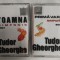 Casete Tudor Gheorghe-Primavara/Toamna simfonic 2001