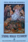 Cumpara ieftin Studiul Noului Testament - 2002 - Ioan Constantinescu (AY163)