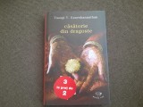 Vasugi V. Ganeshananthan - Casatorie din dragoste
