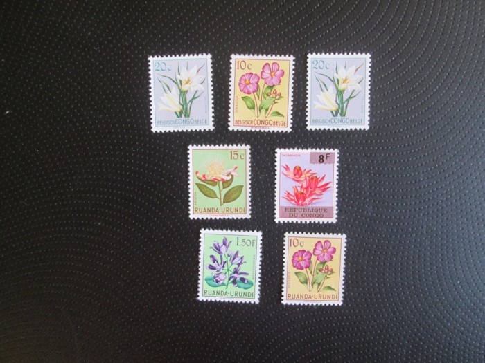 CONGO RUANDA LOT NESTAMILAT=MNH/1
