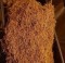 Foto  - 2