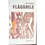 FLACARILE-RADU TUDORAN-260672