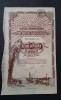Actiune 1924 Romania petrolifera / titlu / actiuni / petrol