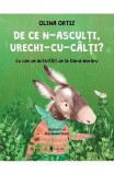 De ce n-asculti, Urechi-cu-Calti? PlayLearn Toys, Univers