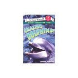 Amazing Dolphins!