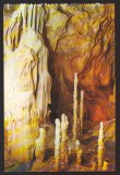 CPIB 22395 - CARTE POSTALA - PESTERA URSILOR (CHISCAU) - BIHOR, NECIRCULATA