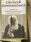 Calauza duhovniceasca. Sfaturi ale nevoitorilor ortodocsi din veacul XX T9, 2015