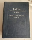 Petre Banarescu - Fauna Republicii Populare Romane, Pisces-Osteichthyes (volumul 13)