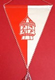 Fanion fotbal - WIENER NEUSTADT (Austria) dimensiuni 23x18 cm