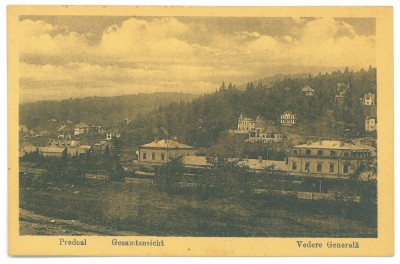 4041 - PREDEAL, Brasov, Railway Station, Panorama - old postcard - unused foto