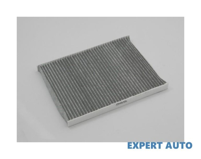 Filtru polen carbon w Dodge Caravan 3 (2000-&gt;) [RG_] #1