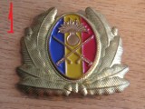 QW14 - Emblema militara / cuc - uscat - anii 1990 - piesa de colectie