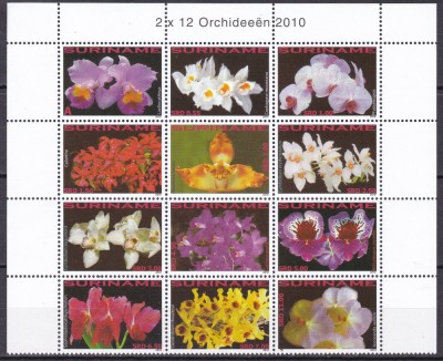 Surinam 2010 flori orhidee MI 1729-1740 kleib. MNH foto