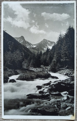 Raul Sambetei// CP foto J. Fischer, Sibiu 1935 foto